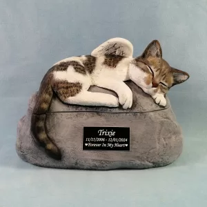 Custom Painted Short Haired Cat Cremation Urn with wings