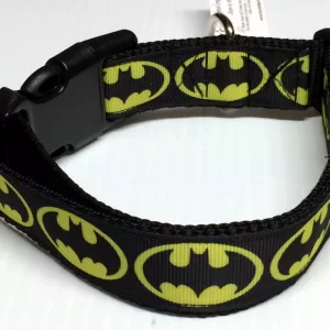 More Fun Collars - 1 inch wide