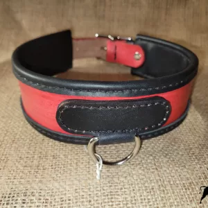 Hand made leather dog collar