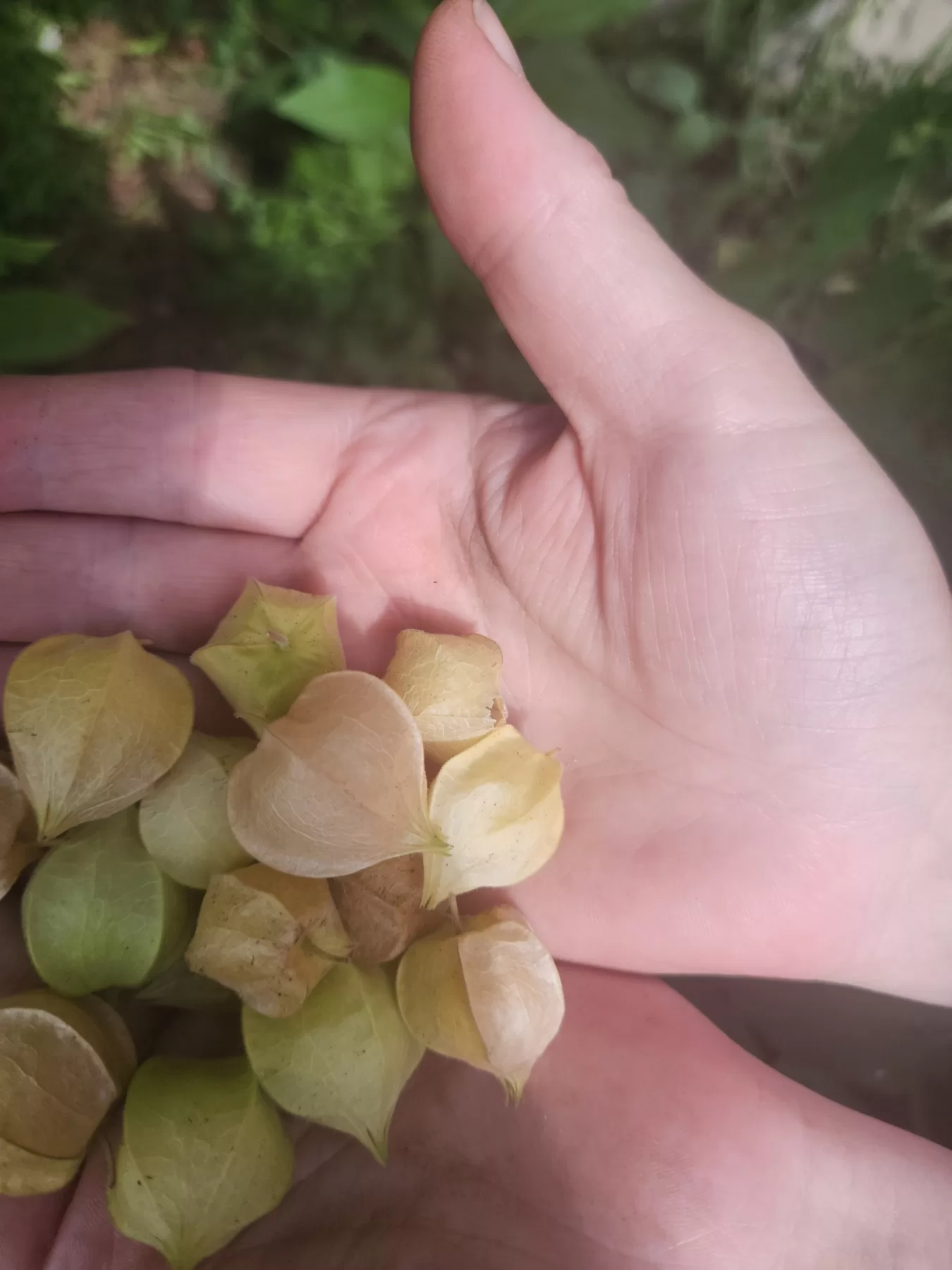 2621-IMG-c69d163eabce680c66d1351482c16775-V