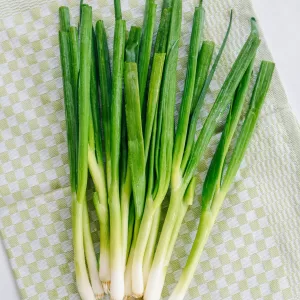 Green onion seeds