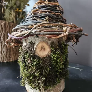Woodland Gnome