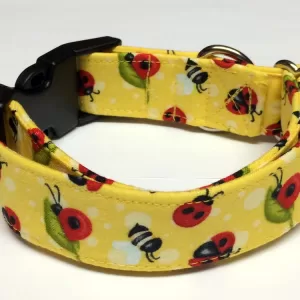 Lady Bug
