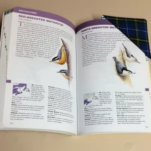 Corner Bookmarks