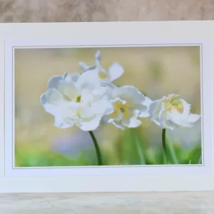 Art Card Floral