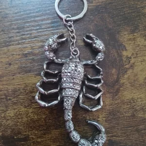 Scorpion keychain