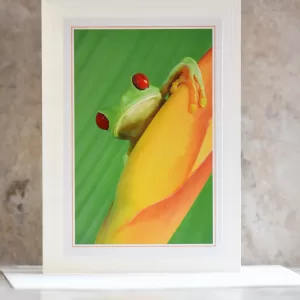 Art Card Frog
