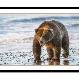 Photographic Print - Beach Patrol