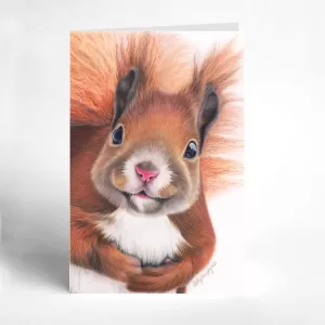 Squirrel - Blank Greeting Card (4"x6")