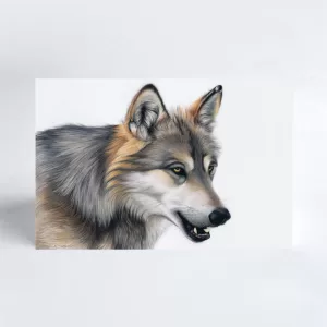 Wolf - Blank Greeting Card (4"x6")