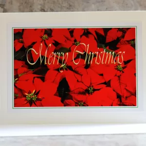 Art Card Christmas