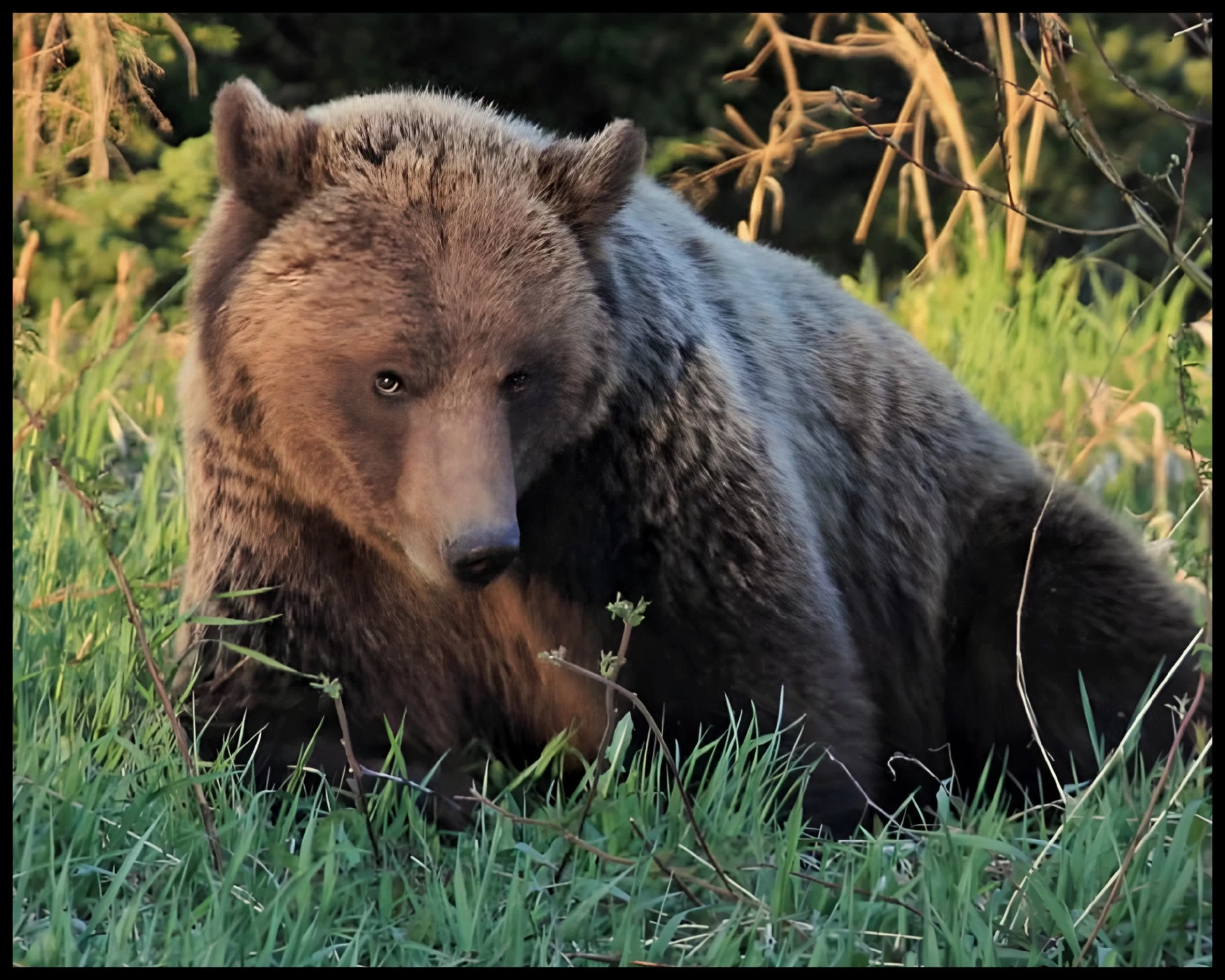 3124-F4AF9243-0501-41D5-815A-7EA6FD361E29_SnapseedCopy