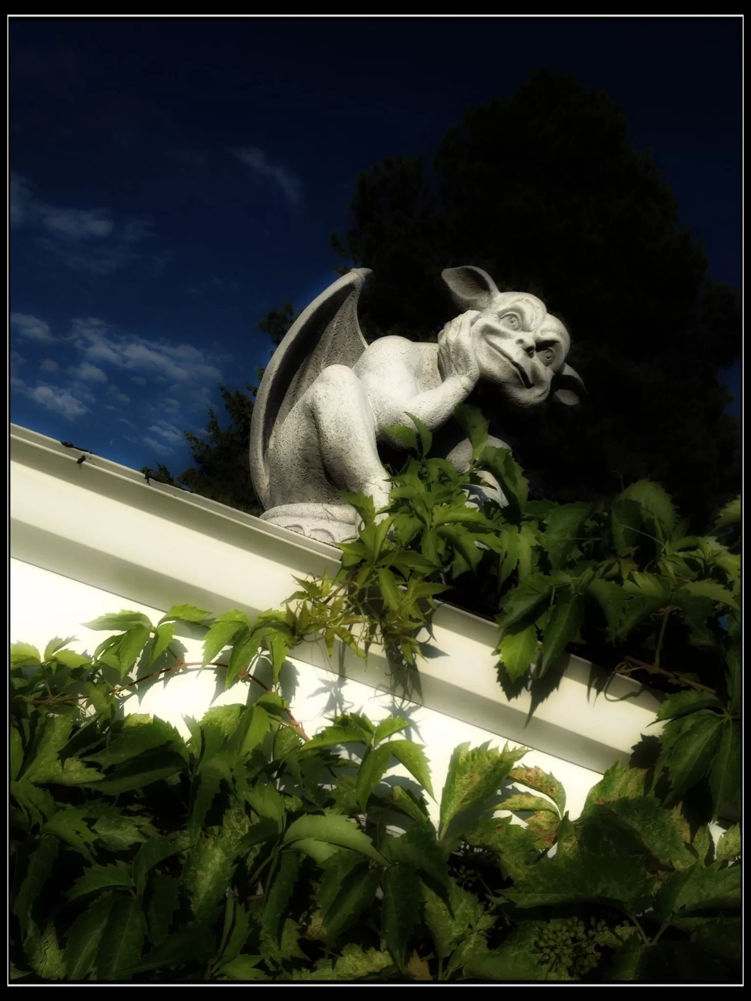 3124-e255046b-abab-467f-bd9d-74ffecf14a18