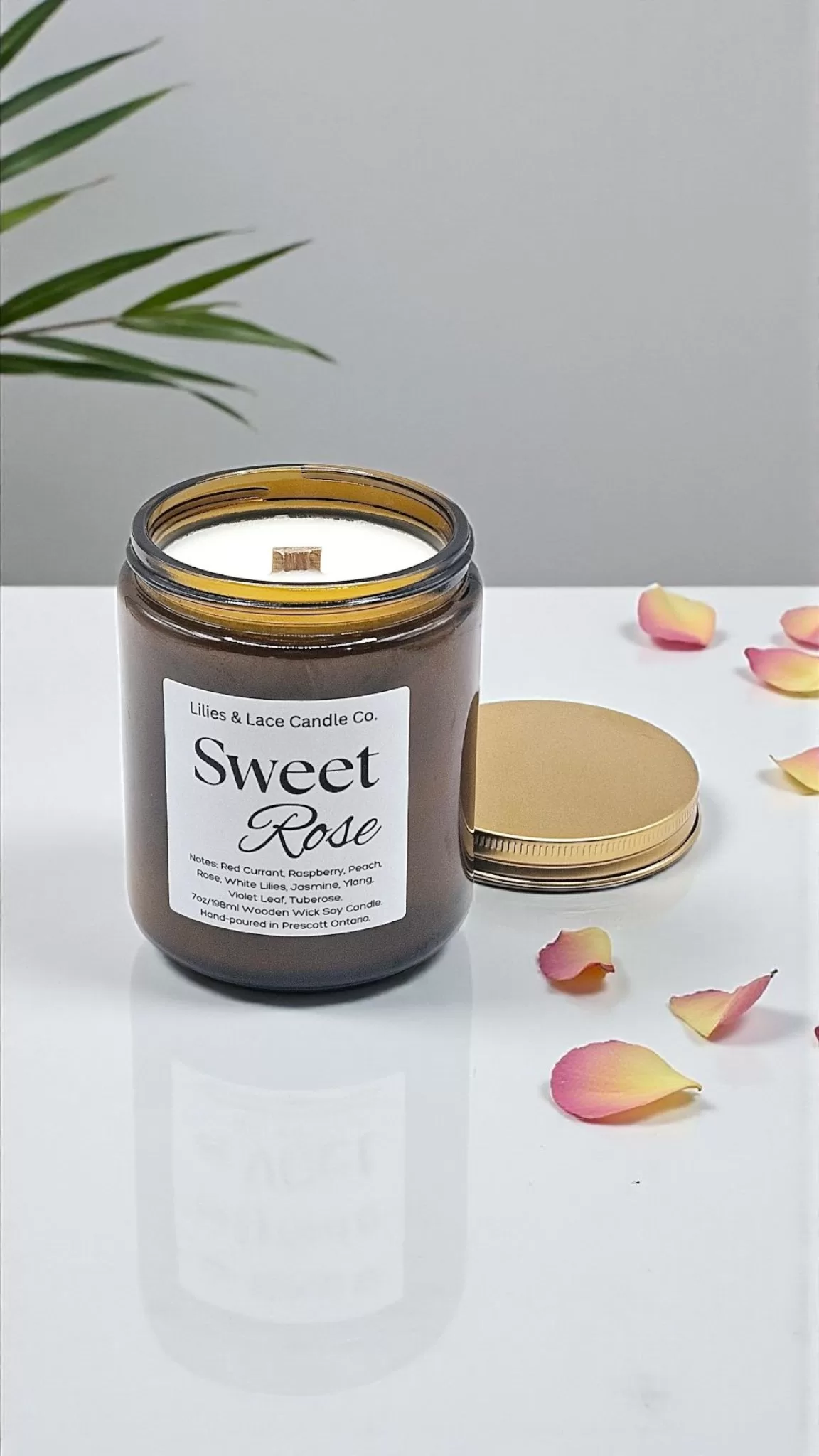 3165-Screenshot_20251107_173946_Photos