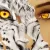 Profile picture of Miki Mori Designs