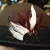 Profile picture of Dark Anachronism Designs