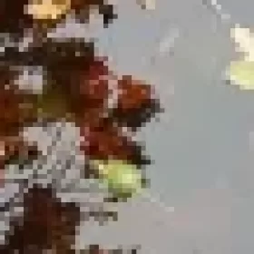 Profile picture of Boho Alchemy