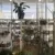 Profile picture of My Little Greenhouse