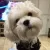 Profile picture of LEIKA DESIGN