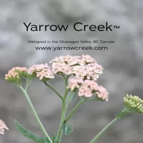 Profile picture of Yarrow Creek Designs