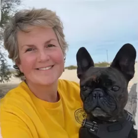 Profile picture of The Stone Travellers