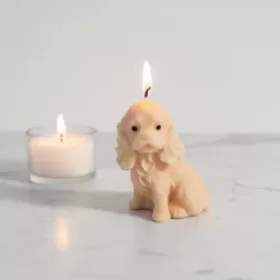 Profile picture of Pure Aura Creations & Gifts