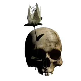 Profile picture of Marie d'Anjou, créations