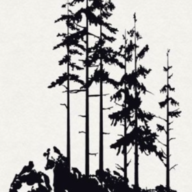 Profile picture of Burnt Pine Designs